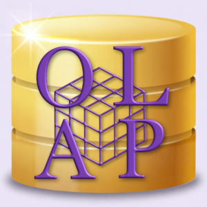 OLAP Personality